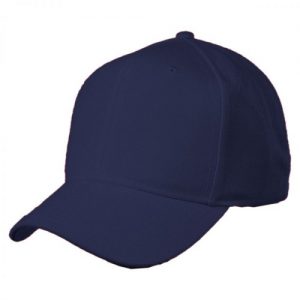 Jenis Topi 